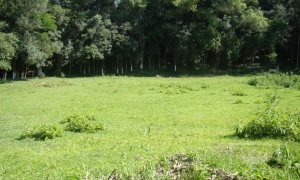 Sítio com 10000m², Nao suíte, no bairro Linha 25 em Marau