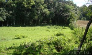 Sítio com 10000m², Nao suíte, no bairro Linha 25 em Marau