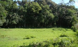 Sítio com 10000m², Nao suíte, no bairro Linha 25 em Marau