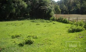 Sítio com 10000m², Nao suíte, no bairro Linha 25 em Marau