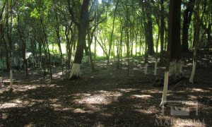 Sítio com 10000m², Nao suíte, no bairro Linha 25 em Marau