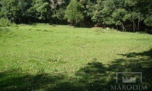 Sítio com 10000m², Nao suíte, no bairro Linha 25 em Marau