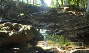 Sítio com 10000m², Nao suíte, no bairro Linha 25 em Marau