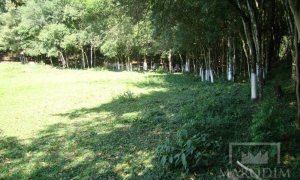 Sítio com 10000m², Nao suíte, no bairro Linha 25 em Marau