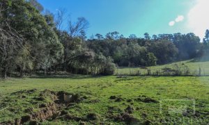 Sítio com 10000m², Nao suíte, no bairro Linha 25 em Marau