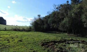 Sítio com 10000m², Nao suíte, no bairro Linha 25 em Marau