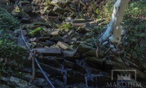Sítio com 10000m², Nao suíte, no bairro Linha 25 em Marau
