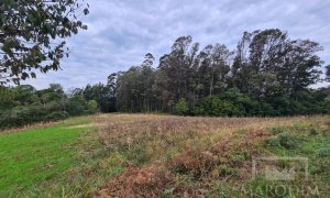 Área com 10977m², Nao suíte, no bairro Borges de Medeiros em Marau