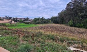 Área com 10977m², Nao suíte, no bairro Borges de Medeiros em Marau