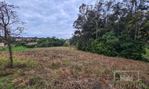 Área com 10977m², Nao suíte, no bairro Borges de Medeiros em Marau