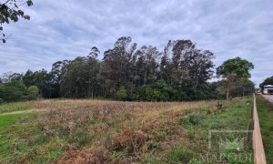 Área com 10977m², Nao suíte, no bairro Borges de Medeiros em Marau