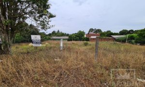 Terreno com 375m², Nao suíte, no bairro Jardim das Palmeiras em Marau