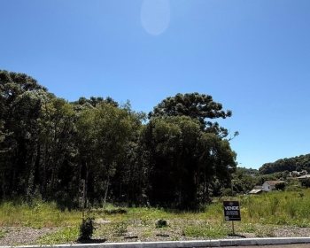 Terreno com 320m², Nao suíte, no bairro Borges de Medeiros em Marau