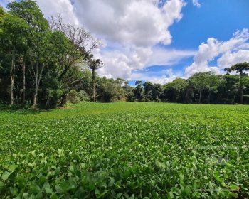 Área com 4000m², Nao suíte, no bairro Interior em Marau