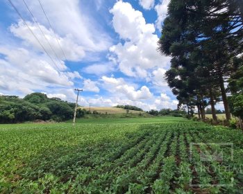 Área com 8500m², Nao suíte, no bairro Interior em Marau