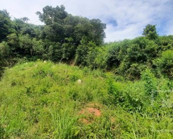 Terreno com 435m², Nao suíte, no bairro Guadalupe em Marau