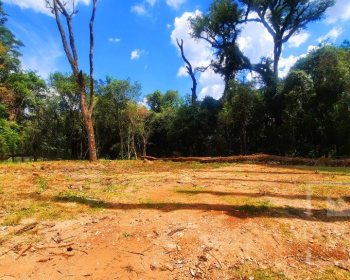 Área com 1200m², Nao suíte, no bairro Interior em Marau