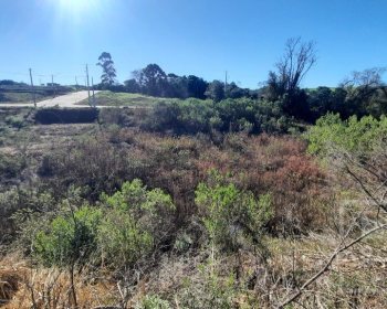 Terreno com 305m², Nao suíte, no bairro Loteamento Residencial Luiza Breda em Marau