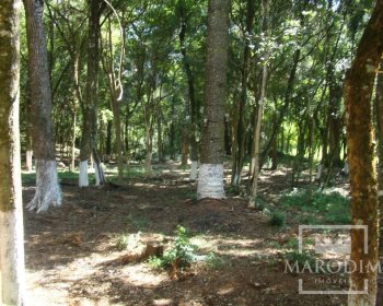 Sítio com 2212m², Nao suíte, no bairro Interior em Marau