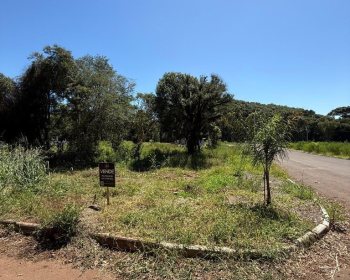 Terreno com 412m², Nao suíte, no bairro Borges de Medeiros em Marau