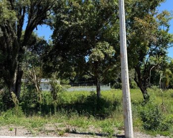 Terreno com 346m², Nao suíte, no bairro Borges de Medeiros em Marau