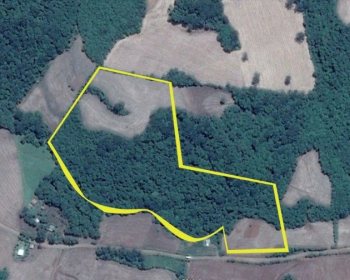 Terreno com 57347m², Nao suíte, no bairro Interior em Marau